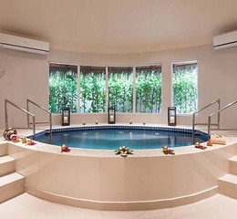Spa cenvaree jacuzzi