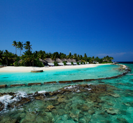 Beach view